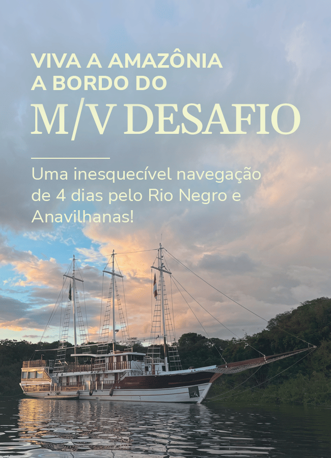 M/V Desafio