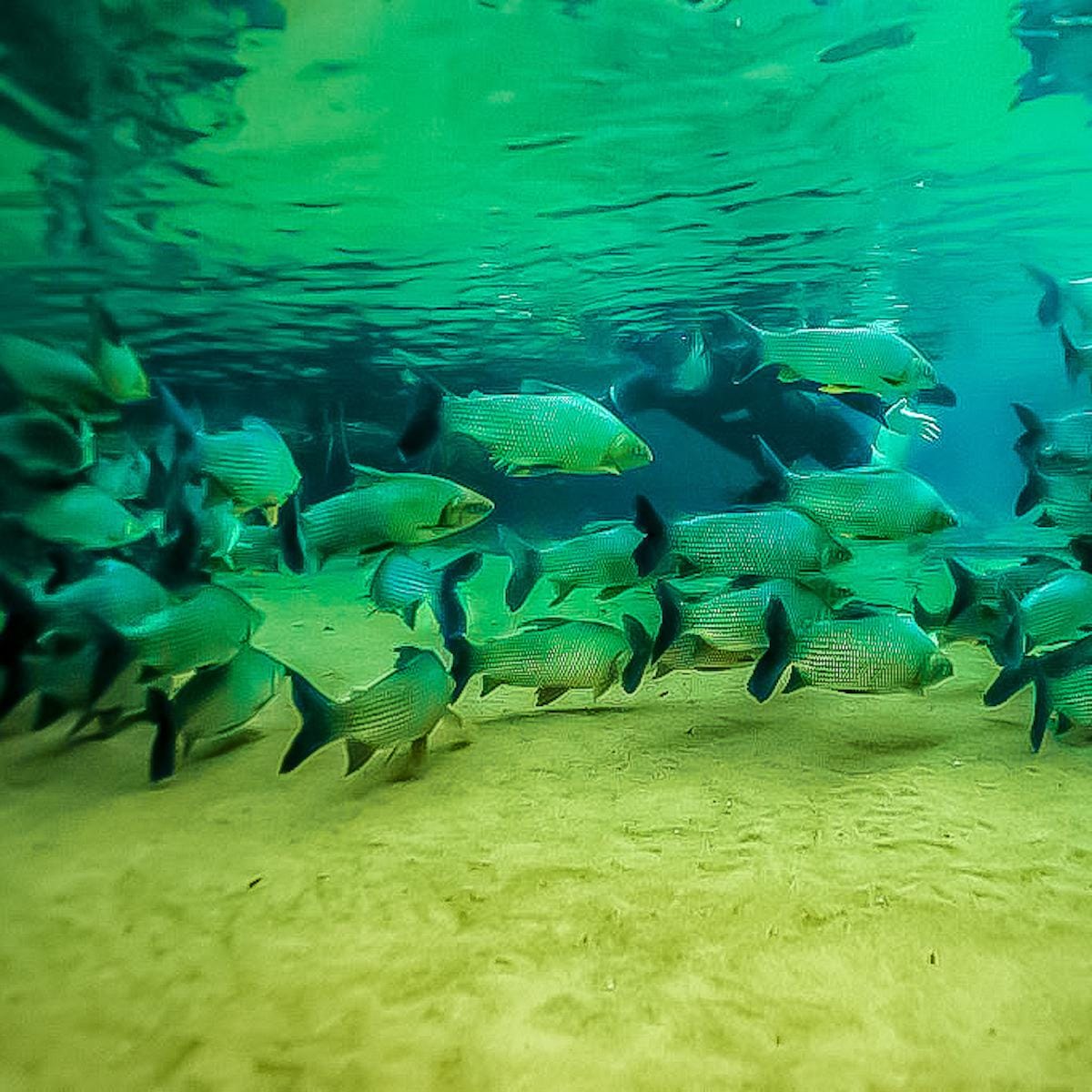 Recanto Ecológico Rio da Prata