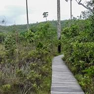 Portal da Chapada