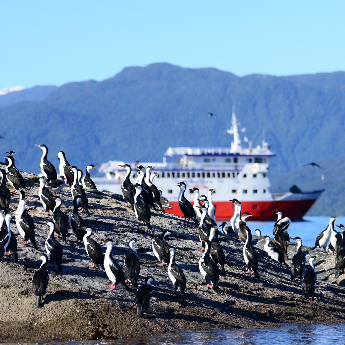 Ilhote de Barrientos