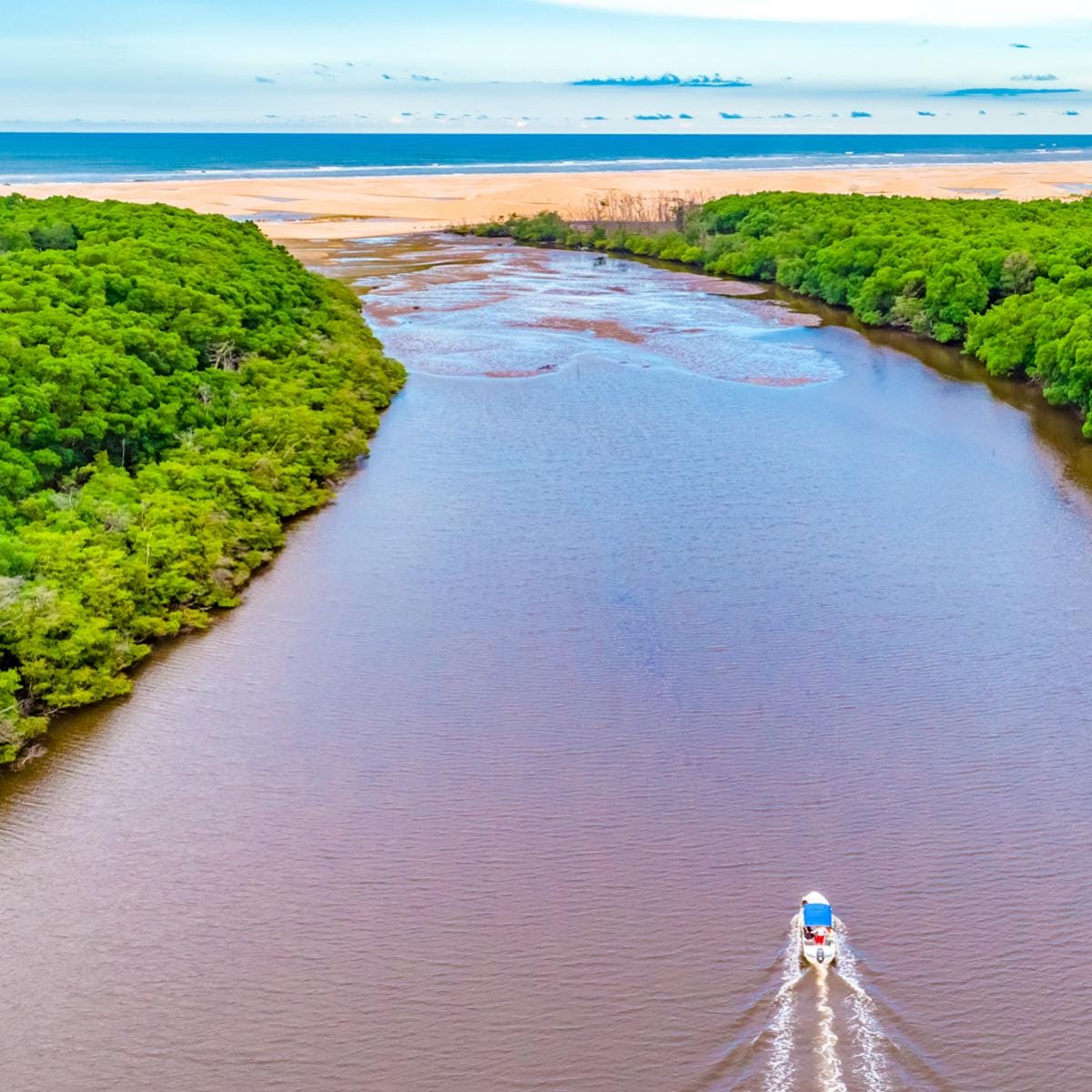 Baía do Feijão Bravo