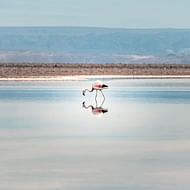 Laguna Chaxa