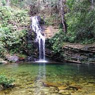 Fazenda Bonsucesso