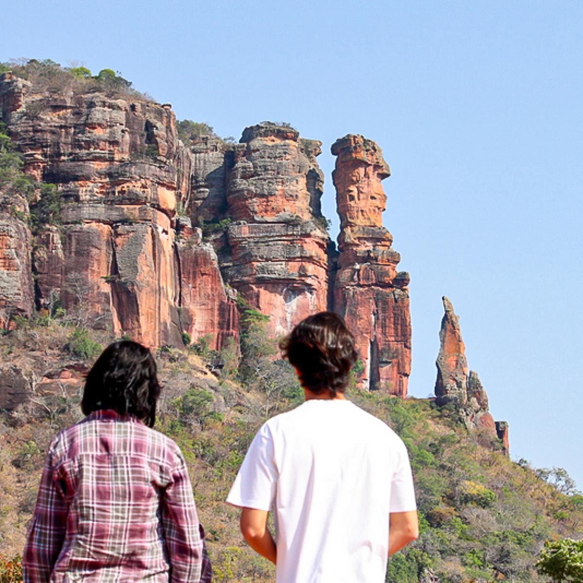 Bico da Serra do Roncador