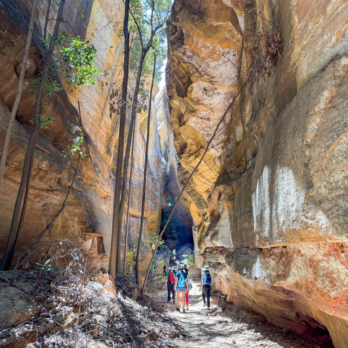 Desfiladeiro da Capivara
