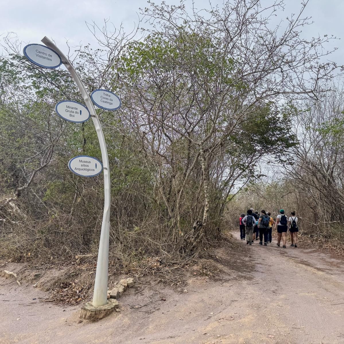 Trilha Cores da Caatinga